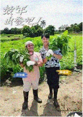 暂停一下 去海边 慢综艺